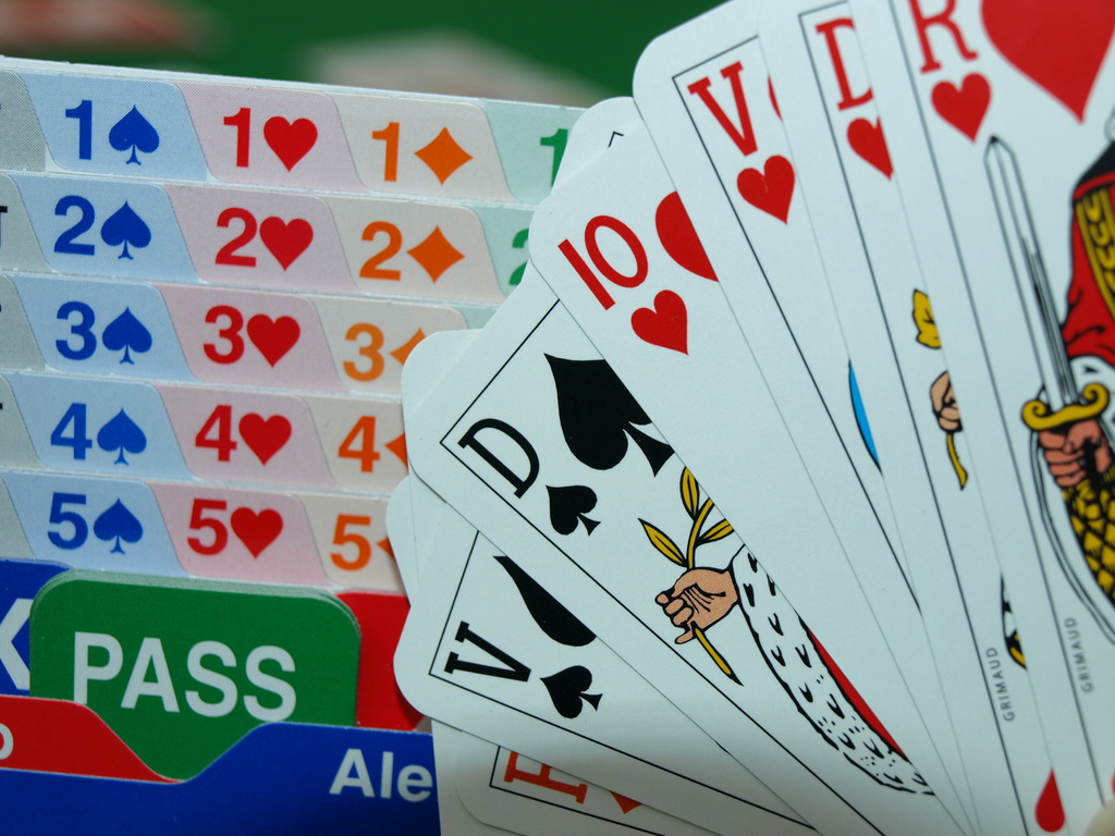 Bienvenue sur le site officiel du comité